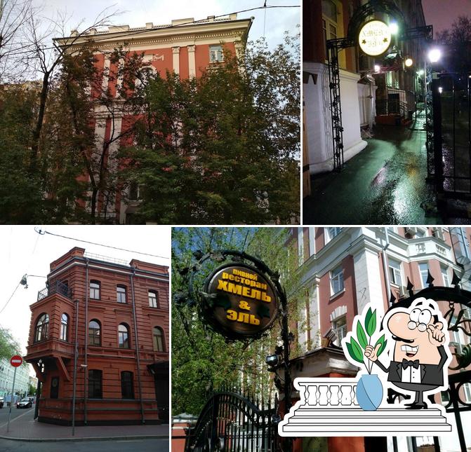 Хмель энд Эль