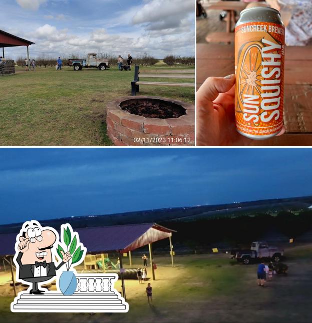 The Beer Shed