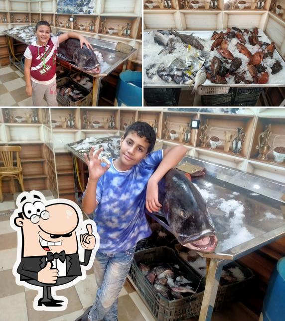 اسماك الفردوس