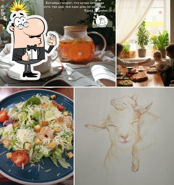 Добрая Коза