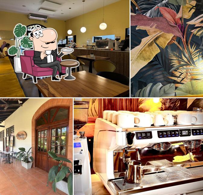 Pura Vida Vibes Cafe Y Restaurant