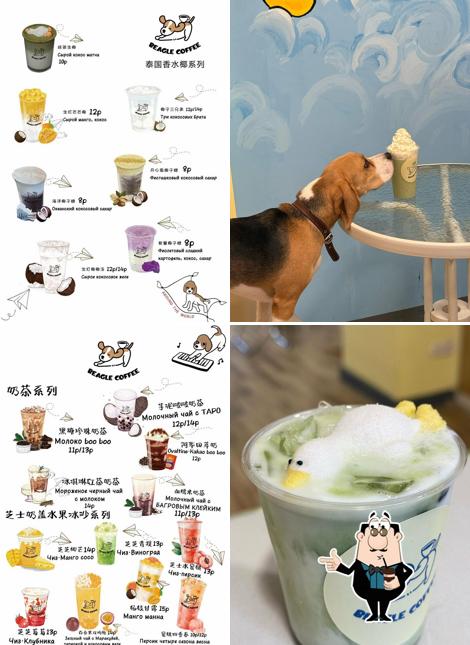 Beagle Coffee