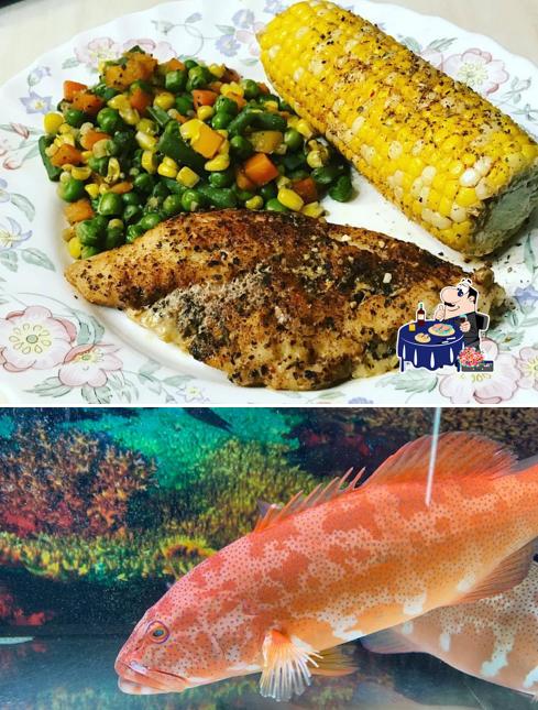 Soul Fish Cafe