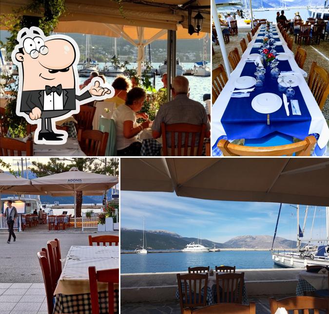 Adonis - Seafood & Mediterranean cuisine