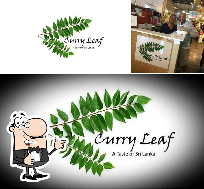 Curry Leaf