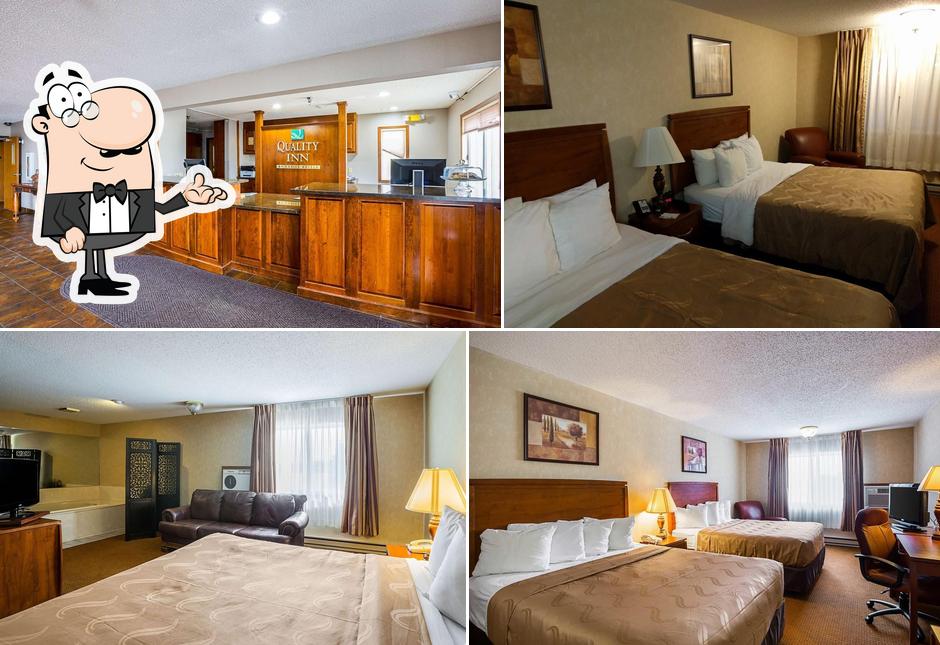 Quality Inn