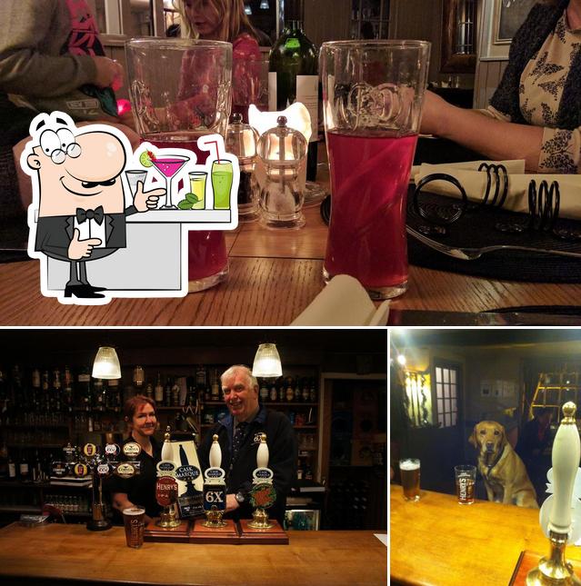 The Fox and Hounds