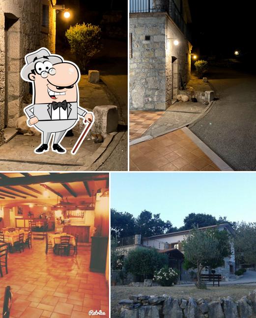 Il Prato degli Ulivi