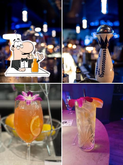 Splash Supper Club