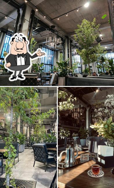 Забронируйте столик в "Safa hall"