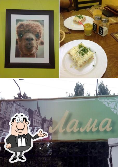Лама