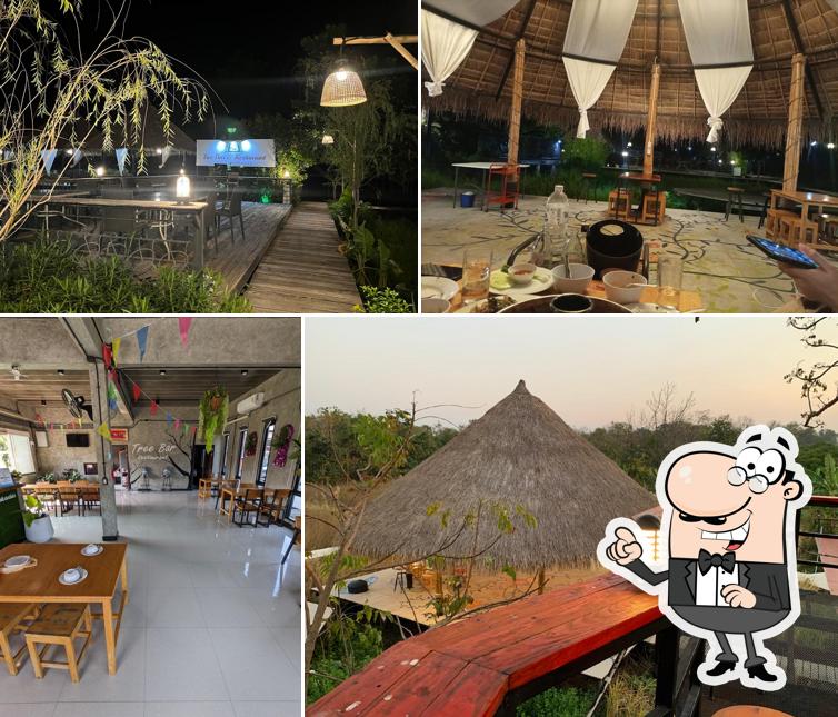 Tree Bar Cafe & Restaurant