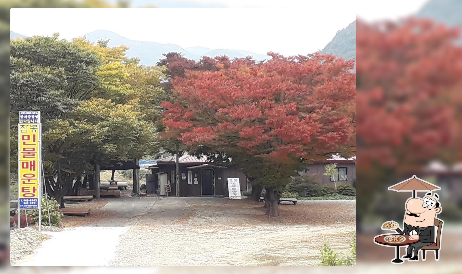 참봉민물매운탕