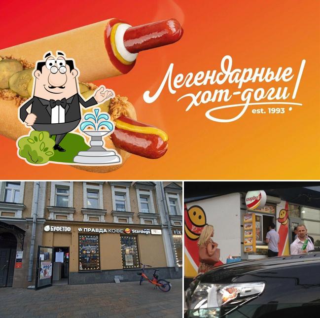 Stardogs