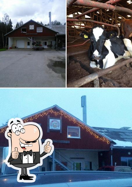 Nopri Talumeierei
