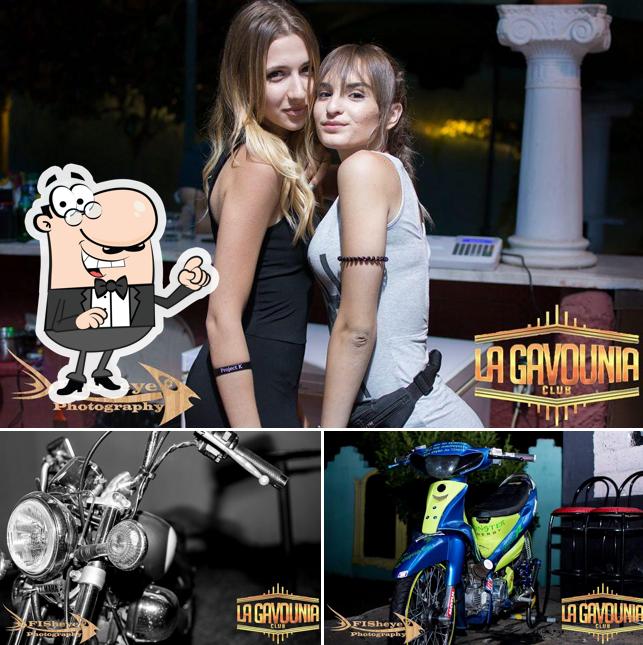 La Gavounia Club