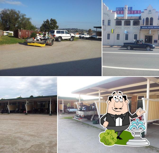 Royal Tenterfield