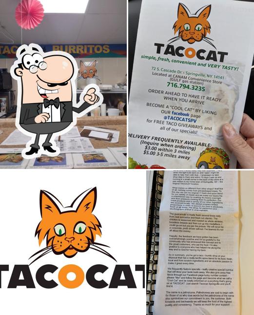 TACOCAT