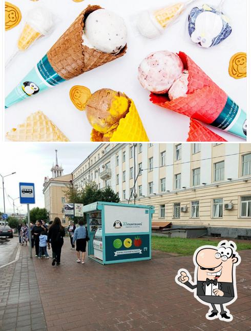 33 Пингвина