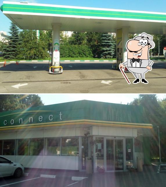 Вайлд бин кафе