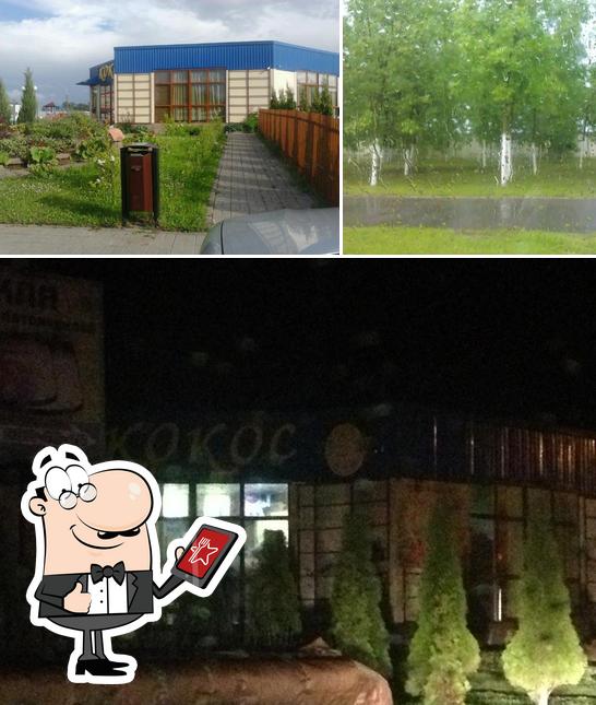 Кокос Кафе ЧТУП Ализира