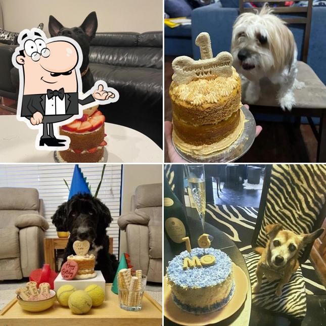 The Pawstry Box