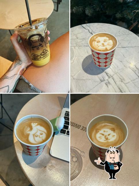 Surf Coffee x Youth
