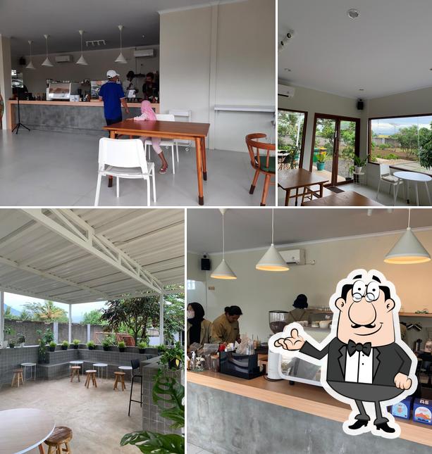 EveryThey Coffee and Plant