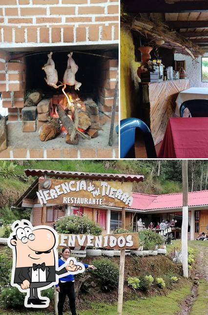El Bosque - Mama Rosita - Restaurant & Yoghurteria