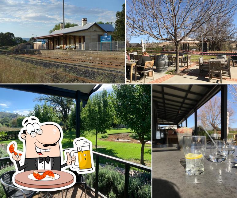 Willow Tree Pub