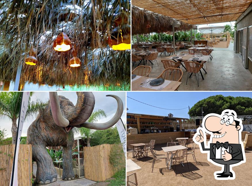 Mamut Beach Club