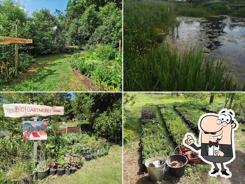 Boerzow im Gartencafe