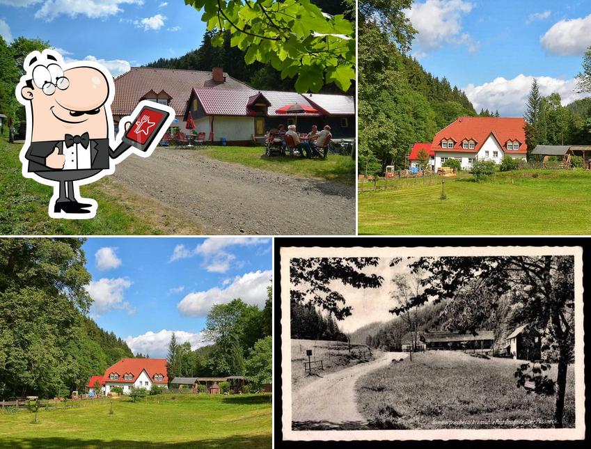 Hotel Sommerfrische Lothramühle