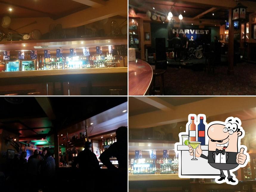 The Rat & Parrot Bar