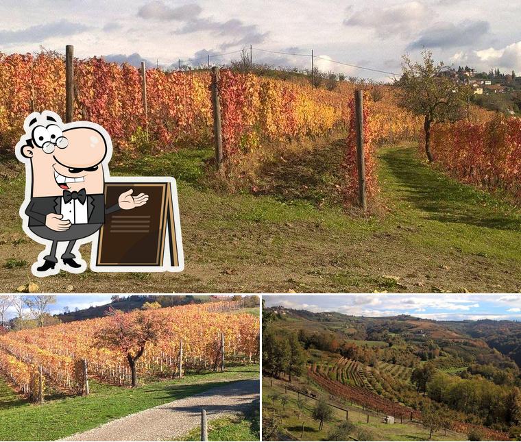 Agriturismo Cantina Bevione Cuneo