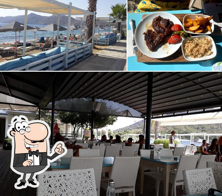 Leo Beach Aktur