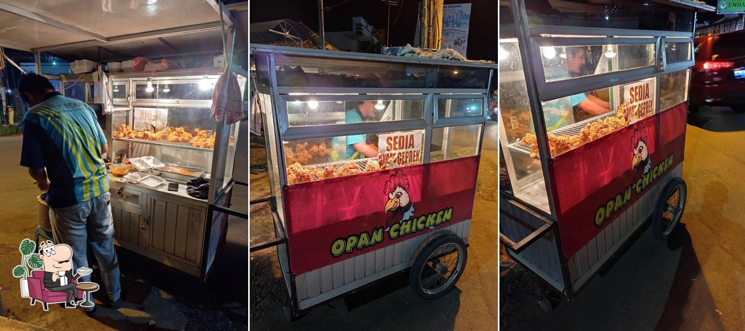 Ayam Goreng Sopan Fried Chicken
