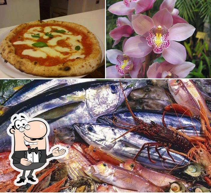 Ristorante Pizzeria L'Orchidea