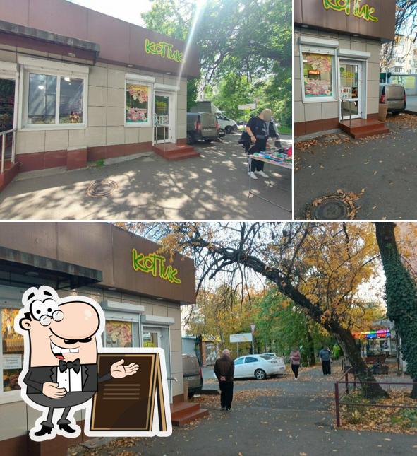 Копик