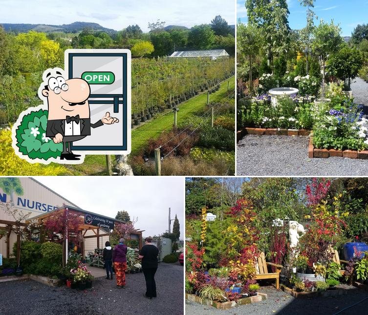 Blueskin Nurseries & Cafe