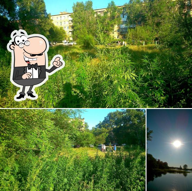 Чарли