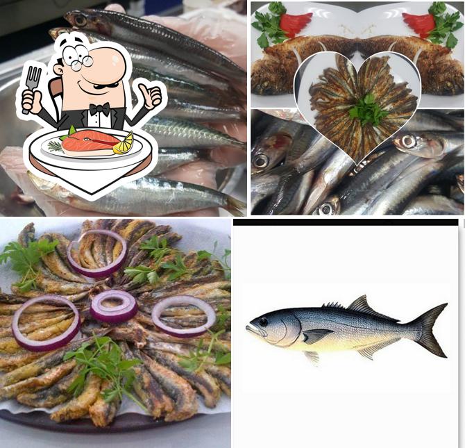 Dark Blue Fish Market