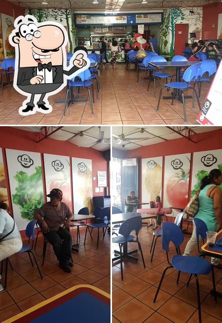 Pollo Monkey's
