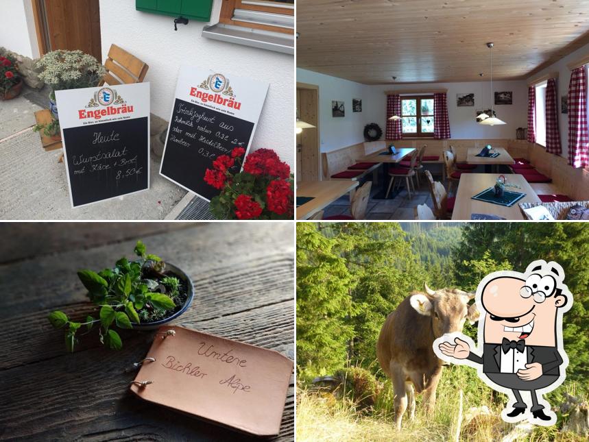 Untere Bichler Alpe
