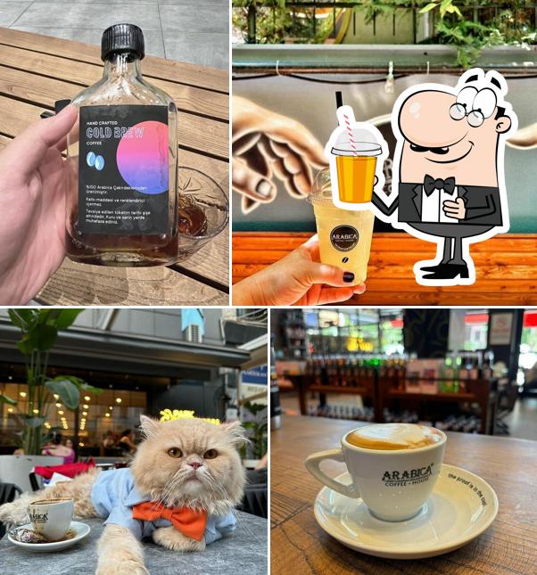 Arabica Coffee House