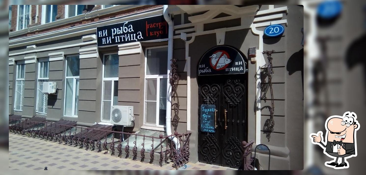 Ни Рыба, Ни Птица