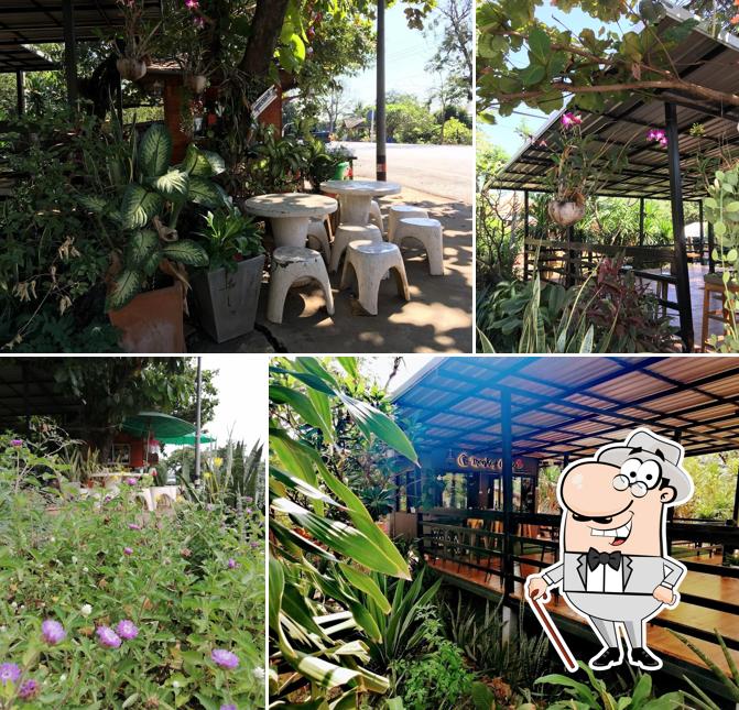 Monkey Cafe Banmaisopim