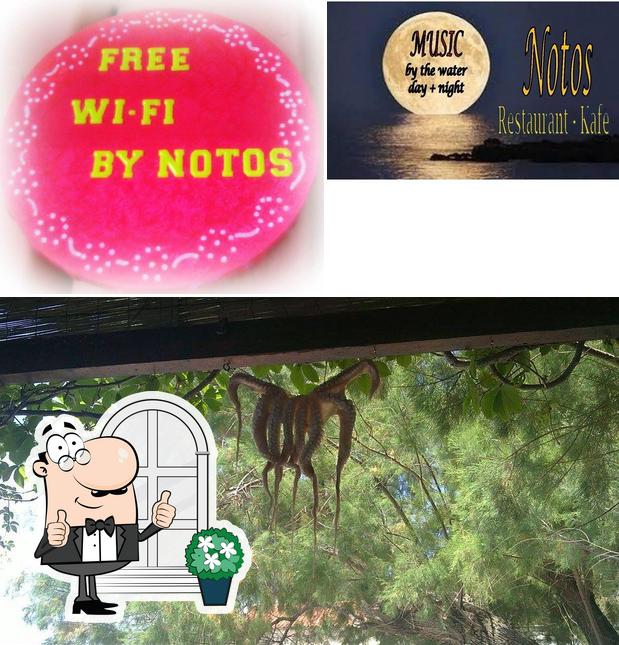 Notos