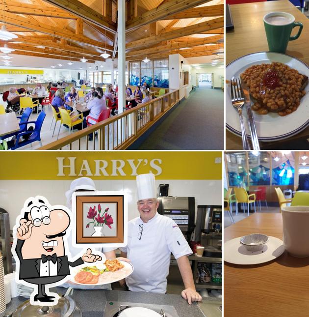 Harry's Cafe