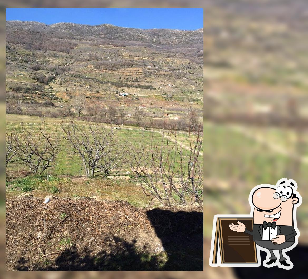Los Naranjos